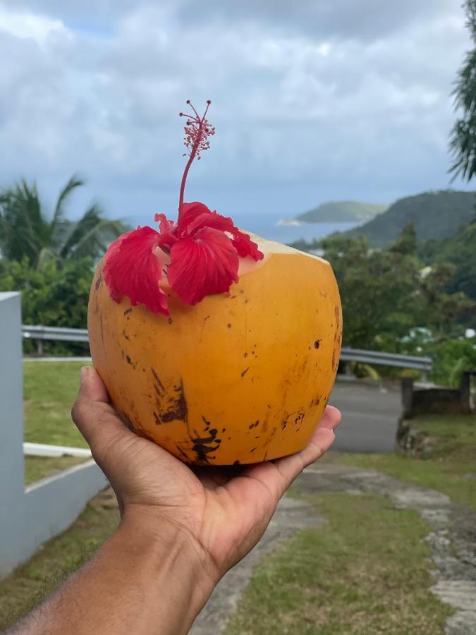 Western Ocean Breeze Self Catering Victoria Bagian luar foto